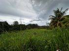 5 Acres of Land for Sale in La Lune Moruga (Freehold)