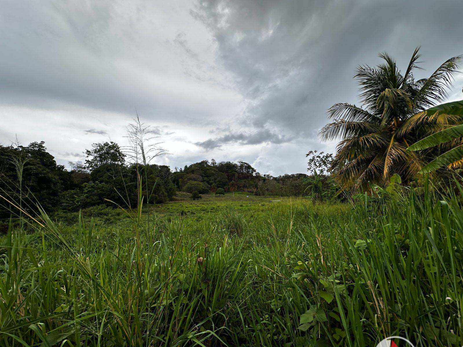 5 Acres of Land for Sale in La Lune Moruga (Freehold)