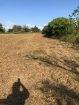 Plots for Sale in Southern Main Road Freeport (557.6 sq.m each (Over 1 Lot))