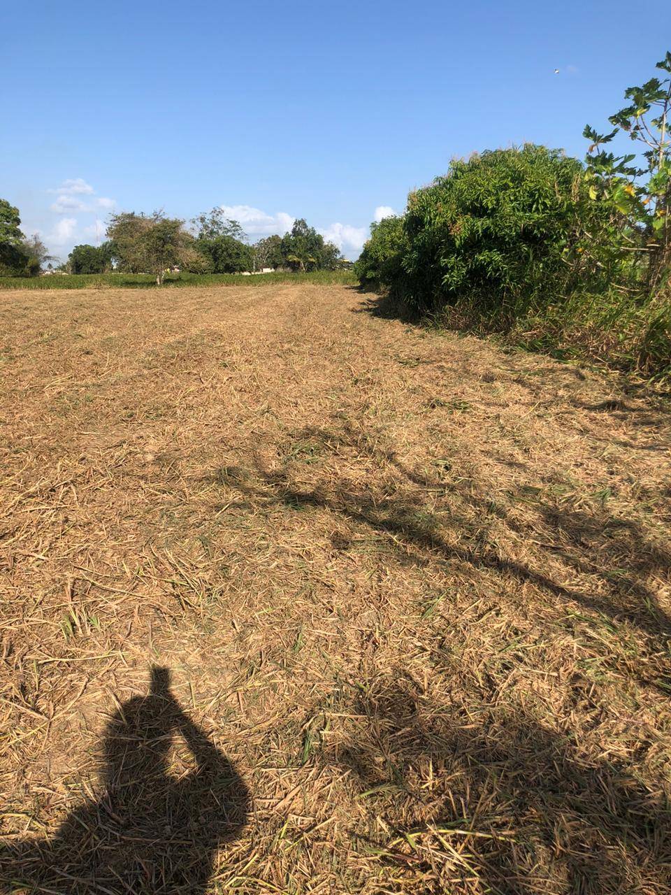 Plots for Sale in Southern Main Road Freeport (557.6 sq.m each (Over 1 Lot))