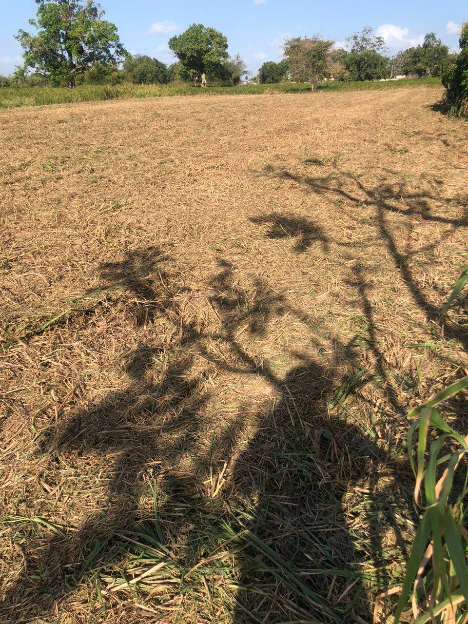 Plots for Sale in Southern Main Road Freeport (557.6 sq.m each (Over 1 Lot))
