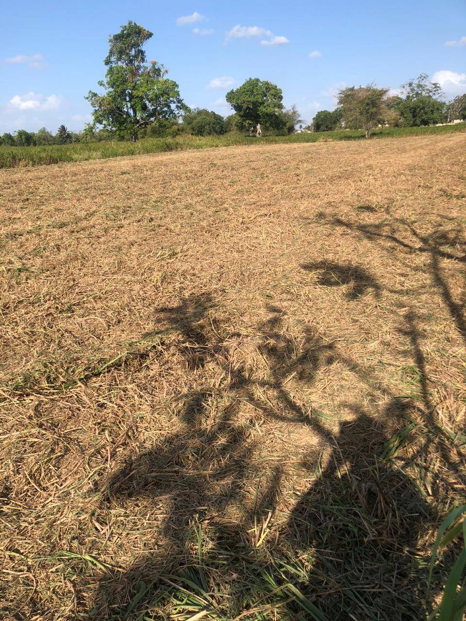 Plots for Sale in Southern Main Road Freeport (557.6 sq.m each (Over 1 Lot))