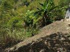 Land for Sale Ragbir Street St. Augustine (939 Sq Meters) – Town & Country Approved