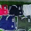 Ladies Shorts