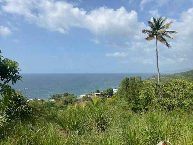 Land for sale in Blanchisseuse
