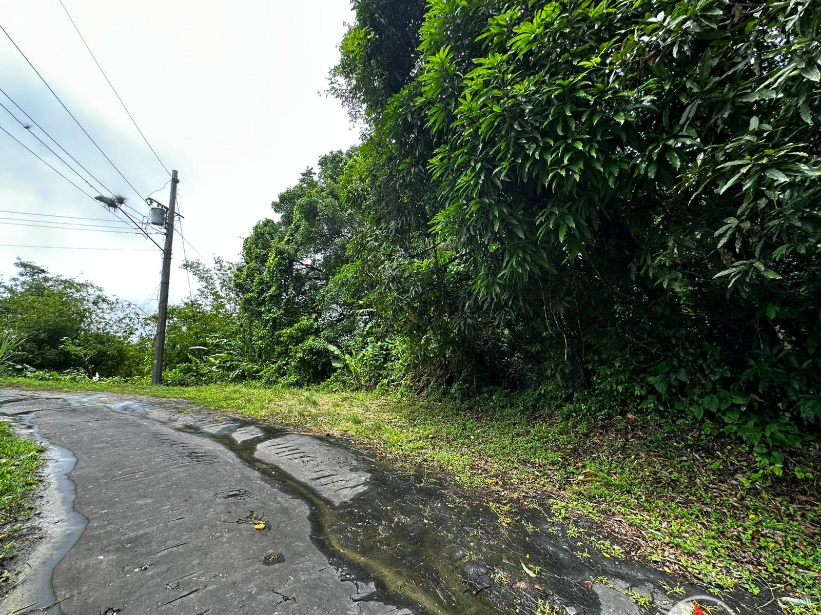 5 Acres of Freehold Land for Sale in Rio Claro