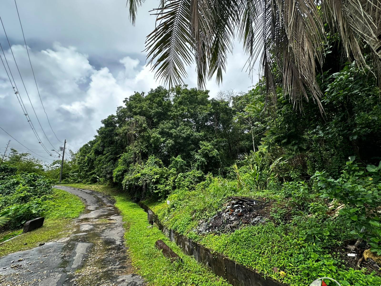 5 Acres of Freehold Land for Sale in Rio Claro