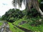 5 Acres of Freehold Land for Sale in Rio Claro