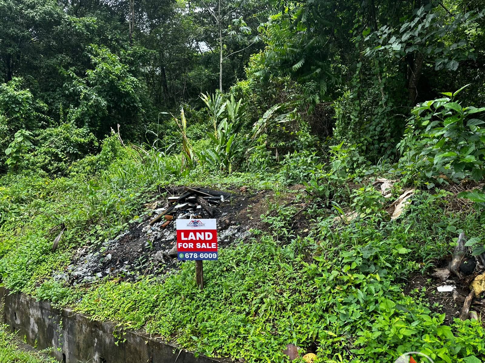 5 Acres of Freehold Land for Sale in Rio Claro