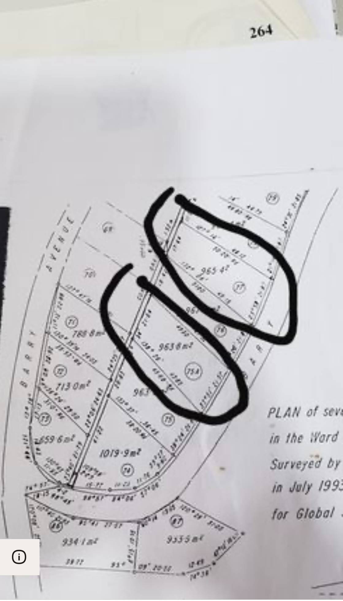 Plot at Hillsboro, Trinidad