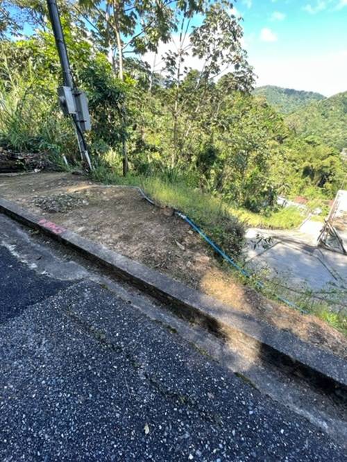 Plot at Hillsboro, Trinidad