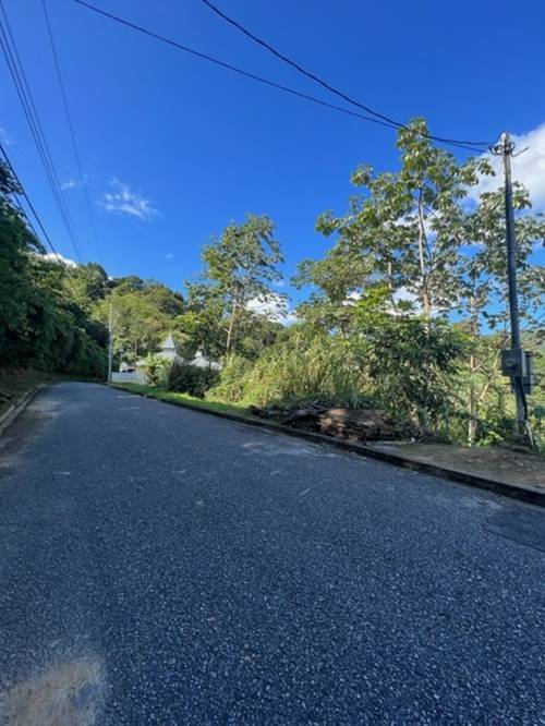 Plot at Hillsboro, Trinidad