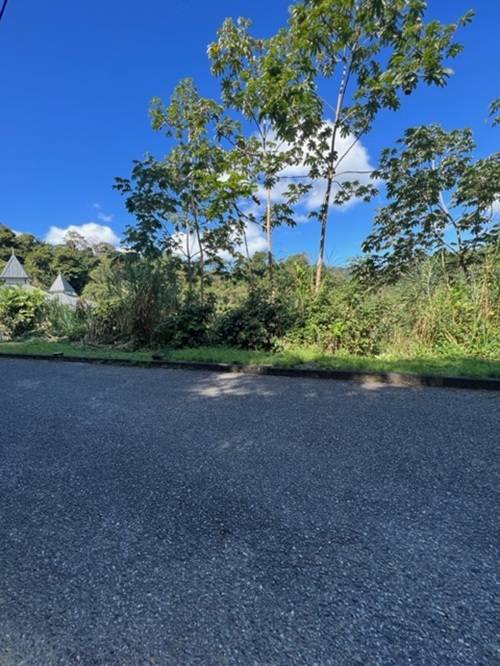 Plot at Hillsboro, Trinidad
