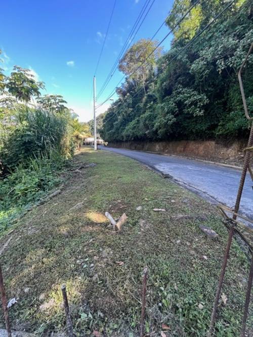 Plot at Hillsboro, Trinidad