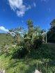 Plot at Hillsboro, Trinidad