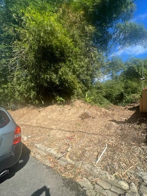 Plot at Hillsboro, Trinidad