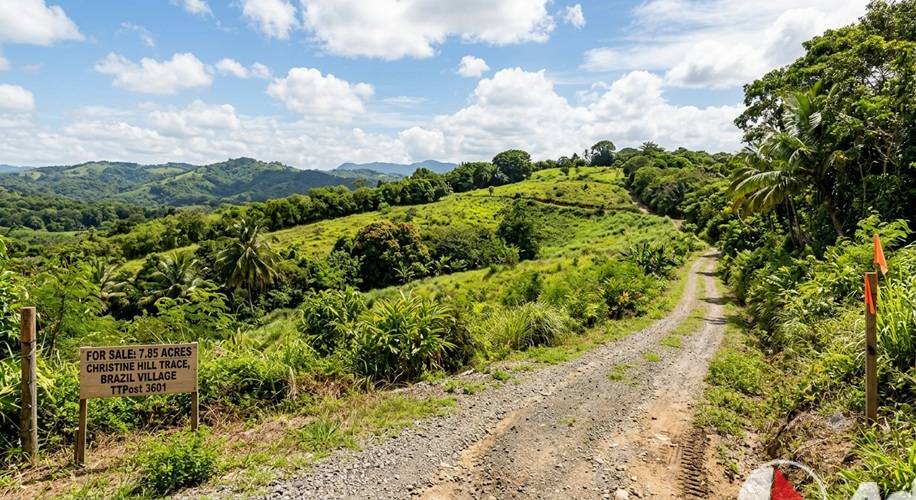 Acreage for sale at Brazil, Trinidad