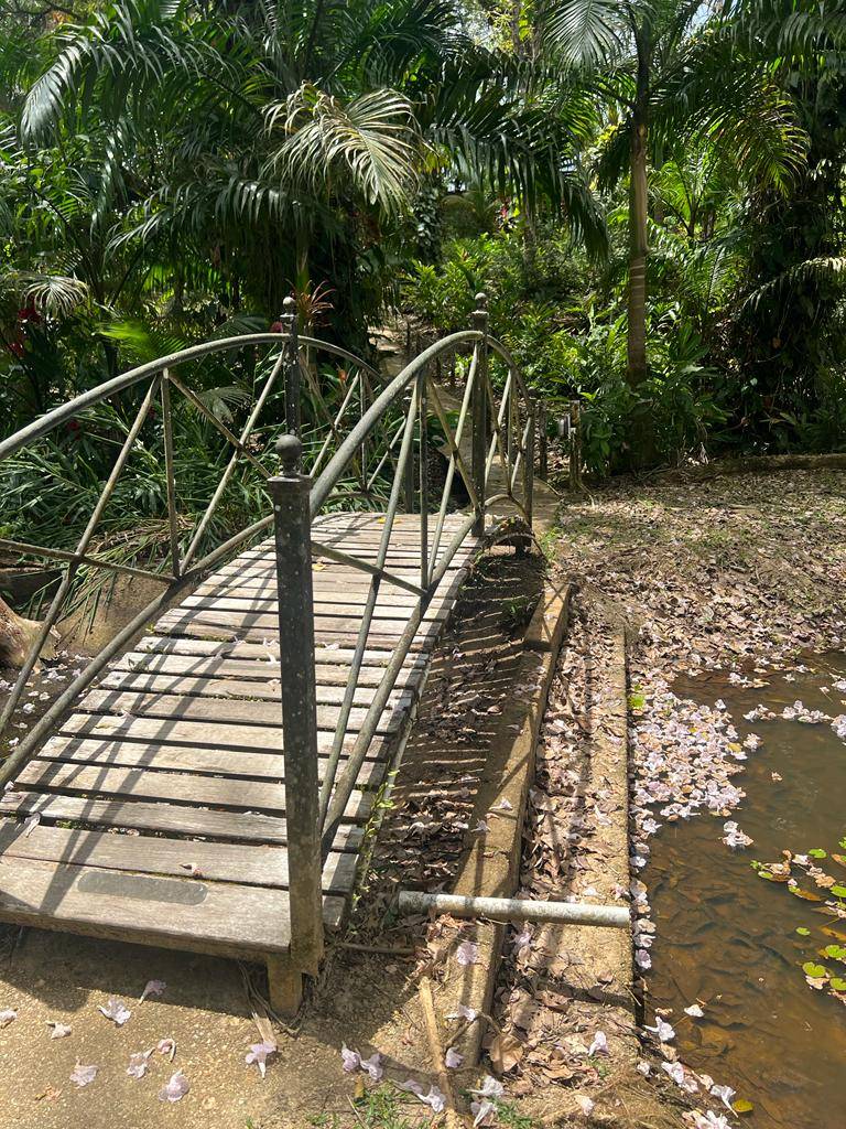 Large 21-acre homestead for sale in Talparo