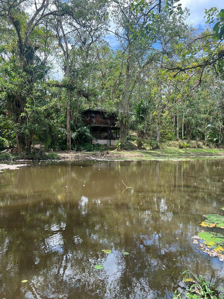 Large 21-acre homestead for sale in Talparo