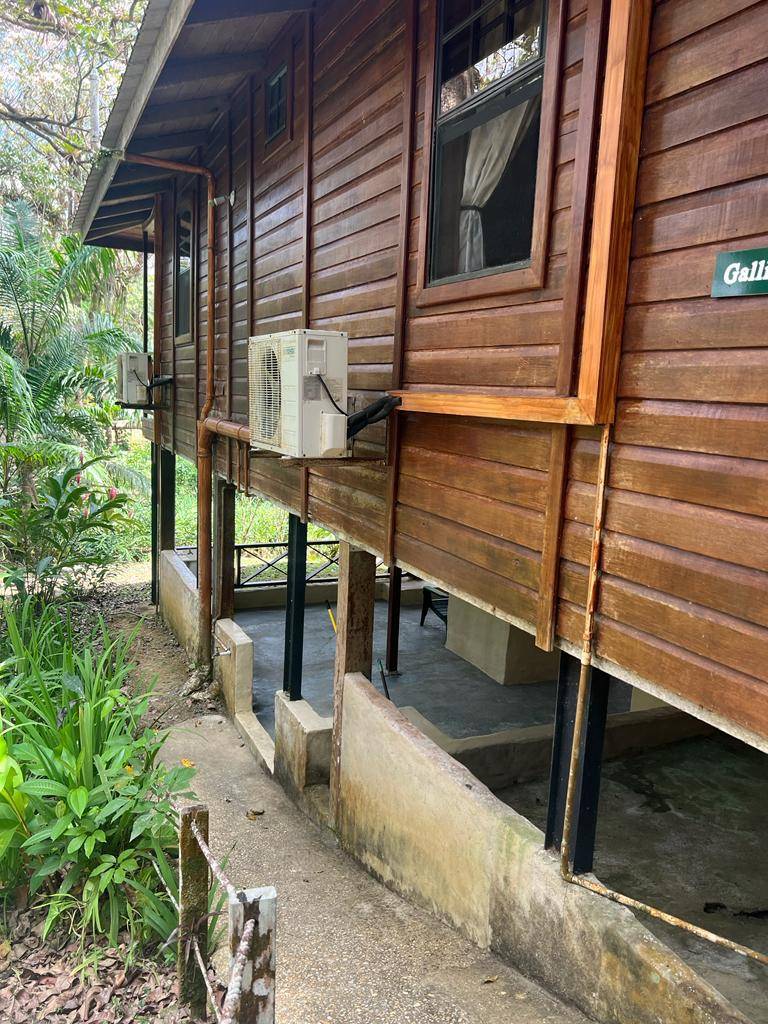 Large 21-acre homestead for sale in Talparo