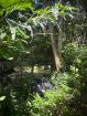 Acreage for sale at Loango, Trinidad