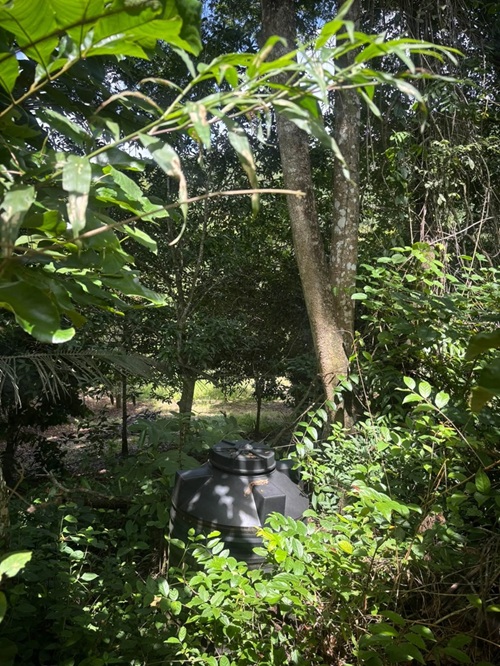 Acreage for sale at Loango, Trinidad