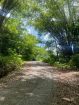 Acreage for sale at Loango, Trinidad