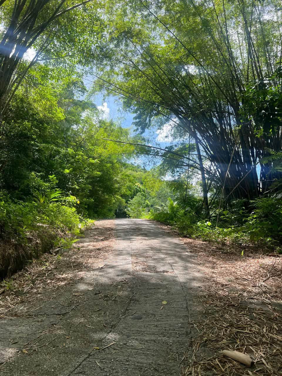 Acreage for sale at Loango, Trinidad