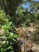 Acreage for sale at Loango, Trinidad