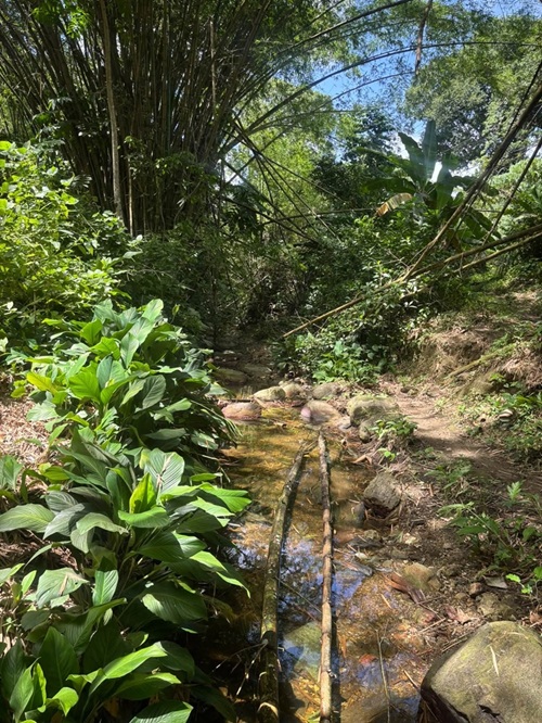 Acreage for sale at Loango, Trinidad