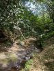 Acreage for sale at Loango, Trinidad