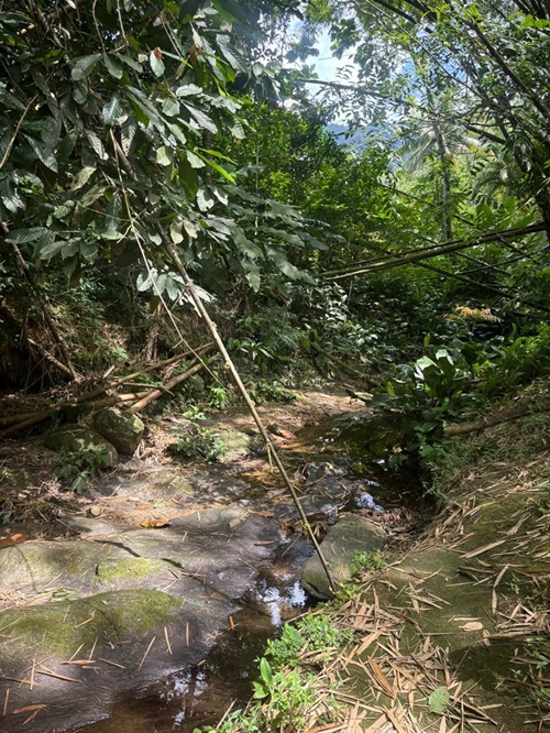 Acreage for sale at Loango, Trinidad