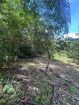Acreage for sale at Loango, Trinidad