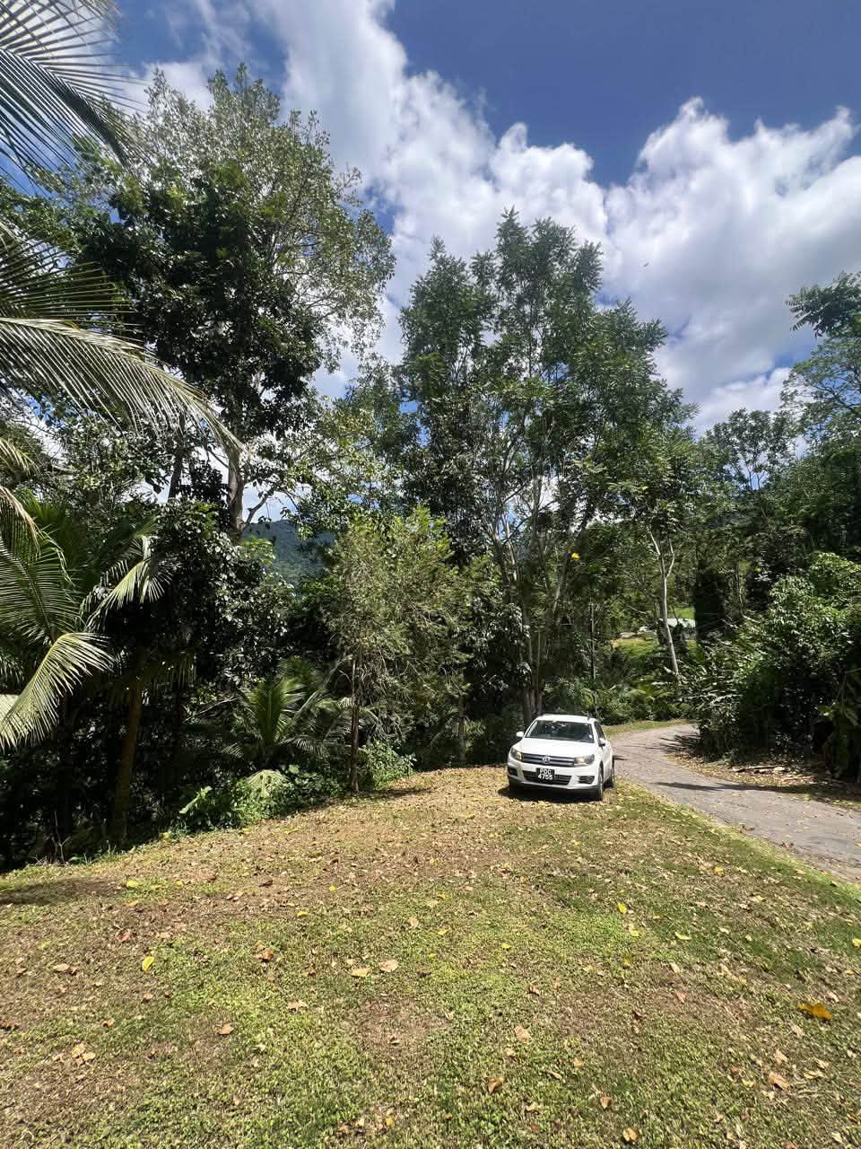 Acreage for sale at Loango, Trinidad